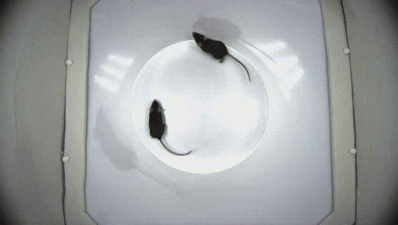 相互靠近